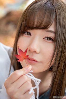 小说言情