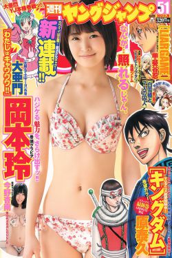 美版无耻之徒